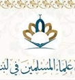 هيئة علماء المسلمين في لبنان تدين العدوان الصهيوني على سوريا!