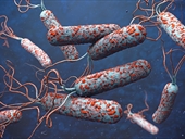 ما هو مرض الكوليرا؟